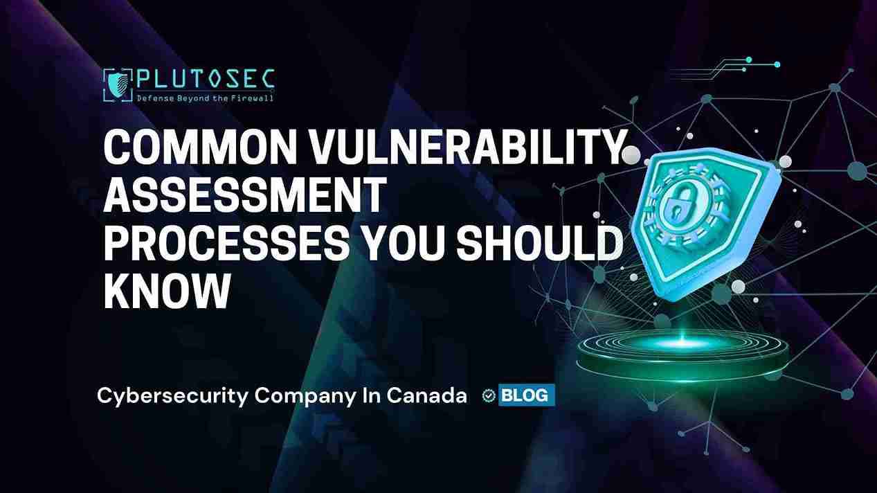 Common Vulnerability Assessment Processes You Should Know